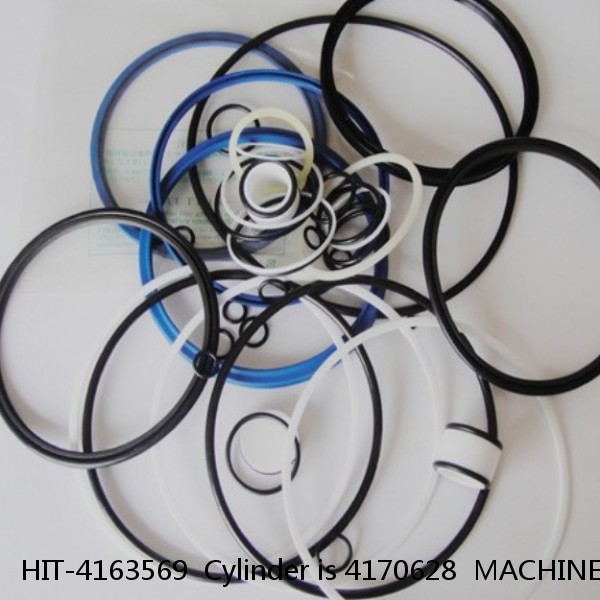 HIT-4163569  Cylinder is 4170628  MACHINE UH123  EXCAVATOR STEERING BOOM ARM BUCKER SEAL KITS HYDRAULIC CYLINDER factory