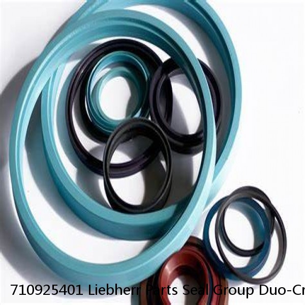 710925401 Liebherr Parts Seal Group Duo-Crane Floating Oil Seals Fits R932 Service