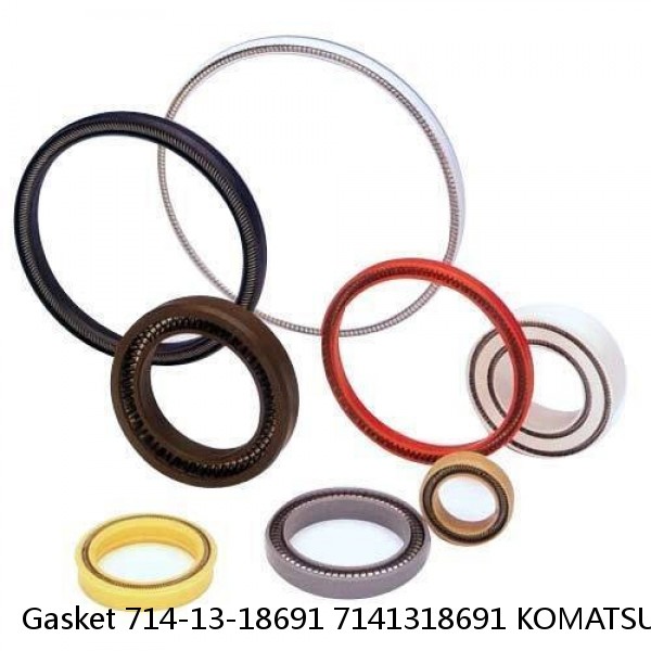 Gasket 714-13-18691 7141318691 KOMATSU Parts WA300 WA320 Service