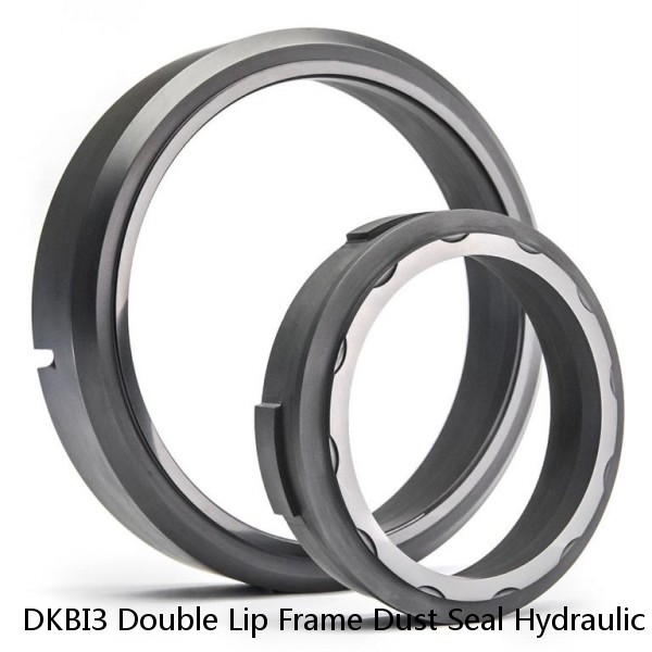DKBI3 Double Lip Frame Dust Seal Hydraulic Cylinder Wiper Seals Service
