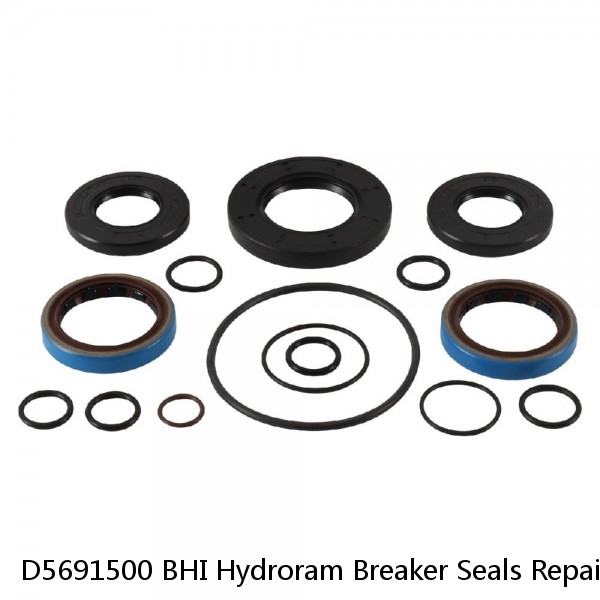 D5691500 BHI Hydroram Breaker Seals Repair Kit For HK45 Hydraulic Hammer Service