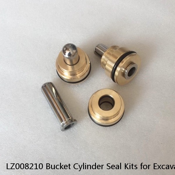 LZ008210 Bucket Cylinder Seal Kits for Excavator CASE CX160B CX160C Service