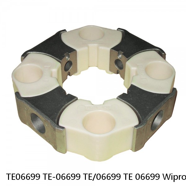 TE06699 TE-06699 TE/06699 TE 06699 Wipro Boom Seal Kit Fits TATA Hitachi Service #1 small image