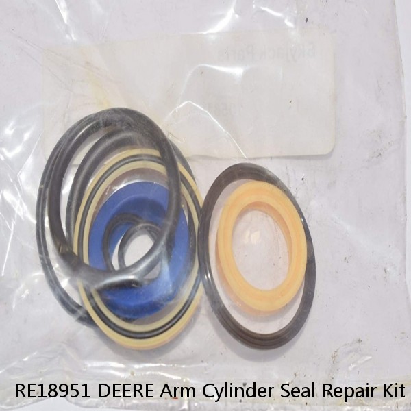 RE18951 DEERE Arm Cylinder Seal Repair Kit for Excavators 690C Service #1 small image