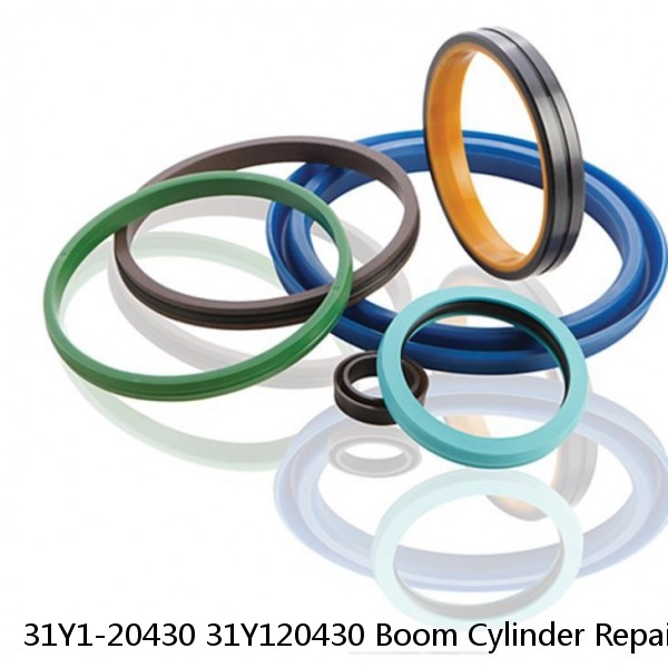 31Y1-20430 31Y120430 Boom Cylinder Repair Seals Kit For Hyundai R160LC-7 Service #1 small image