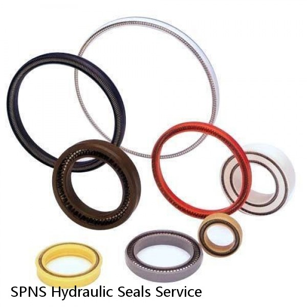 SPNS Hydraulic Seals Service #1 small image