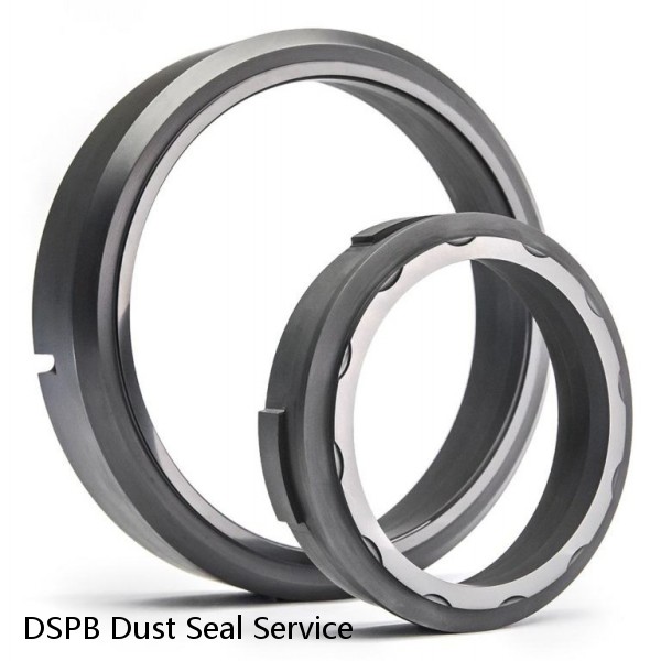 DSPB Dust Seal Service #1 small image