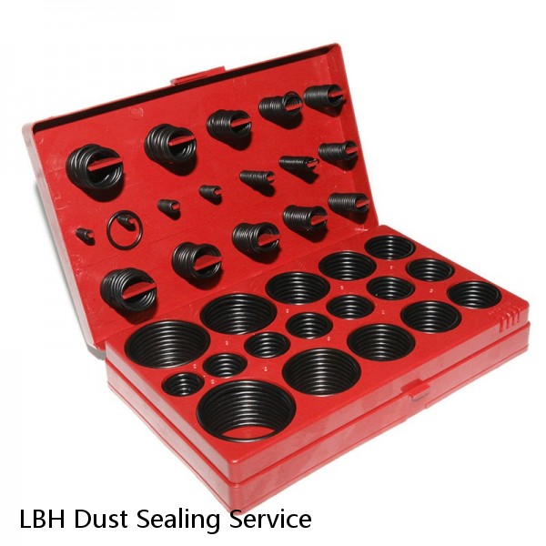 LBH Dust Sealing Service #1 small image