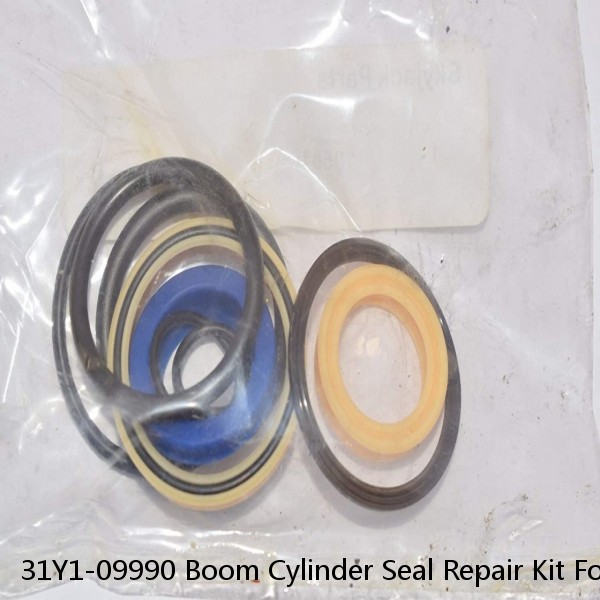 31Y1-09990 Boom Cylinder Seal Repair Kit For HYUNDAI R250LC-3 R250LC-7 Service #1 image