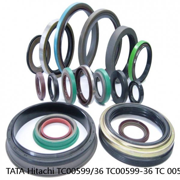 TATA Hitachi TC00599/36 TC00599-36 TC 00599/36 TC 00599-36 Wipro Boom Seal Kit Service #1 image