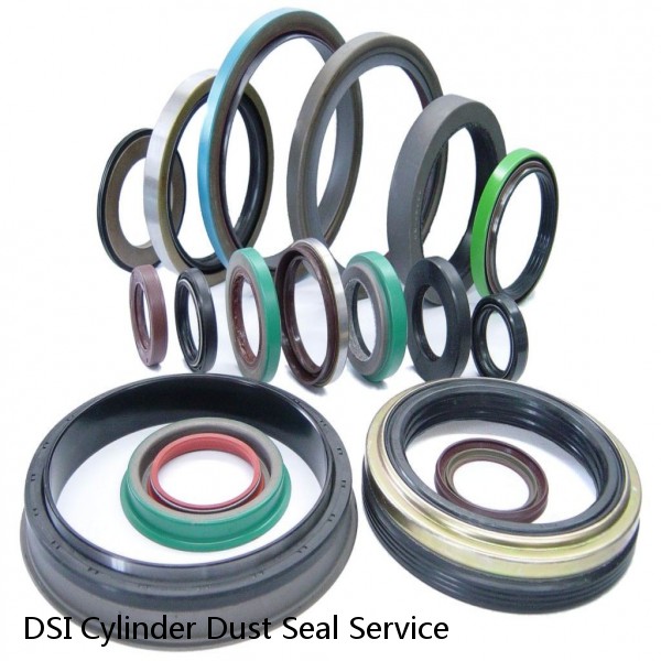 DSI Cylinder Dust Seal Service #1 image