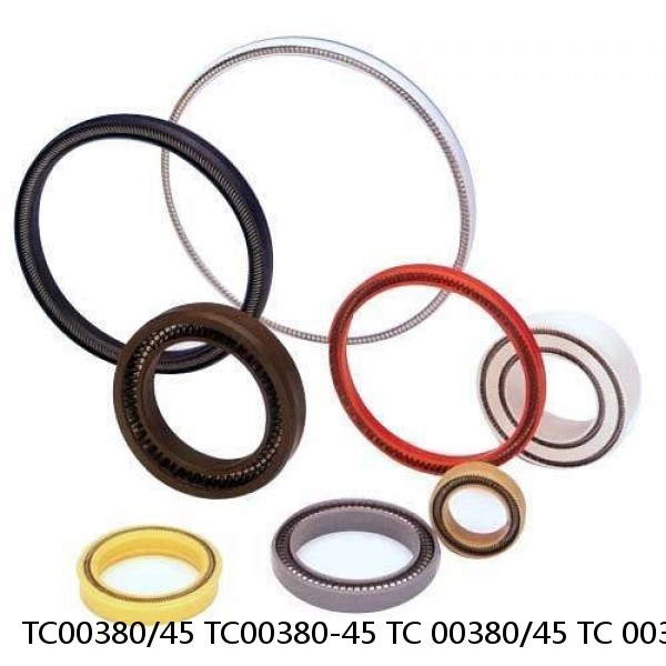 TC00380/45 TC00380-45 TC 00380/45 TC 00380-45 Loader Bucket Cylinder Seal Kit TATA Hitachi Service #1 image