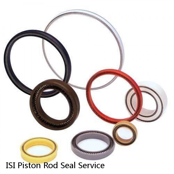 ISI Piston Rod Seal Service #1 image