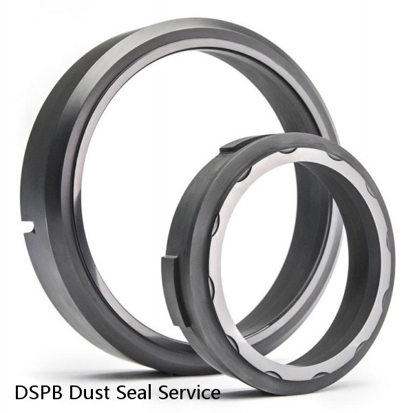DSPB Dust Seal Service #1 image