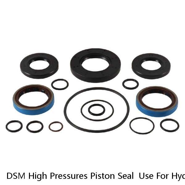 DSM High Pressures Piston Seal  Use For Hydraulic Pump Cylinder And Valve Service #1 image